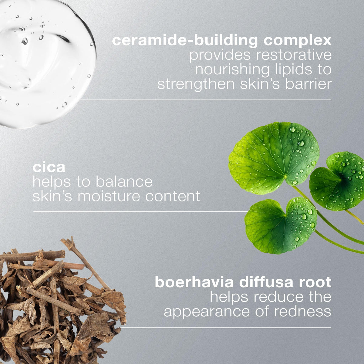 Dermalogica Stabilizing Repair Cream Sensitive Skin - Premium Selection Official Imagery - 8