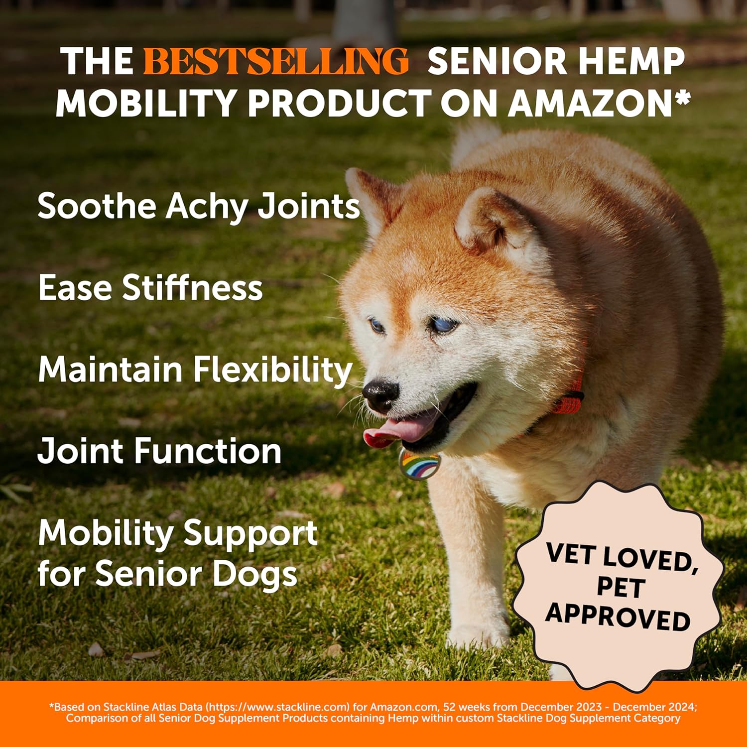 Senior Hemp Hip & Joint Support, Hemp for Dogs, Mobility Support