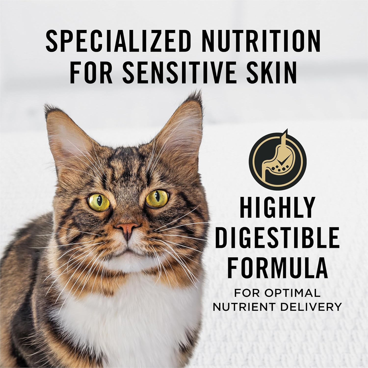 Elefair Purina Pro Plan Sensitive Skin and Stomach dry cat food with turkey and oat meal, 5.5 lb bag, showing the product packaging.
