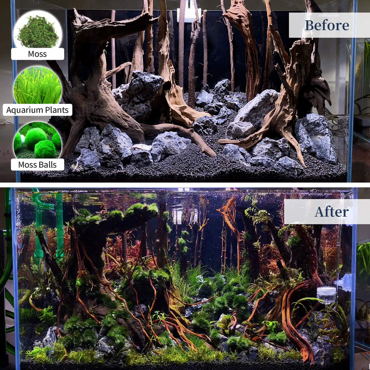 majoywoo Natural Large Driftwood for Aquarium Decor Fish - majoywoo Official Imagery - 7