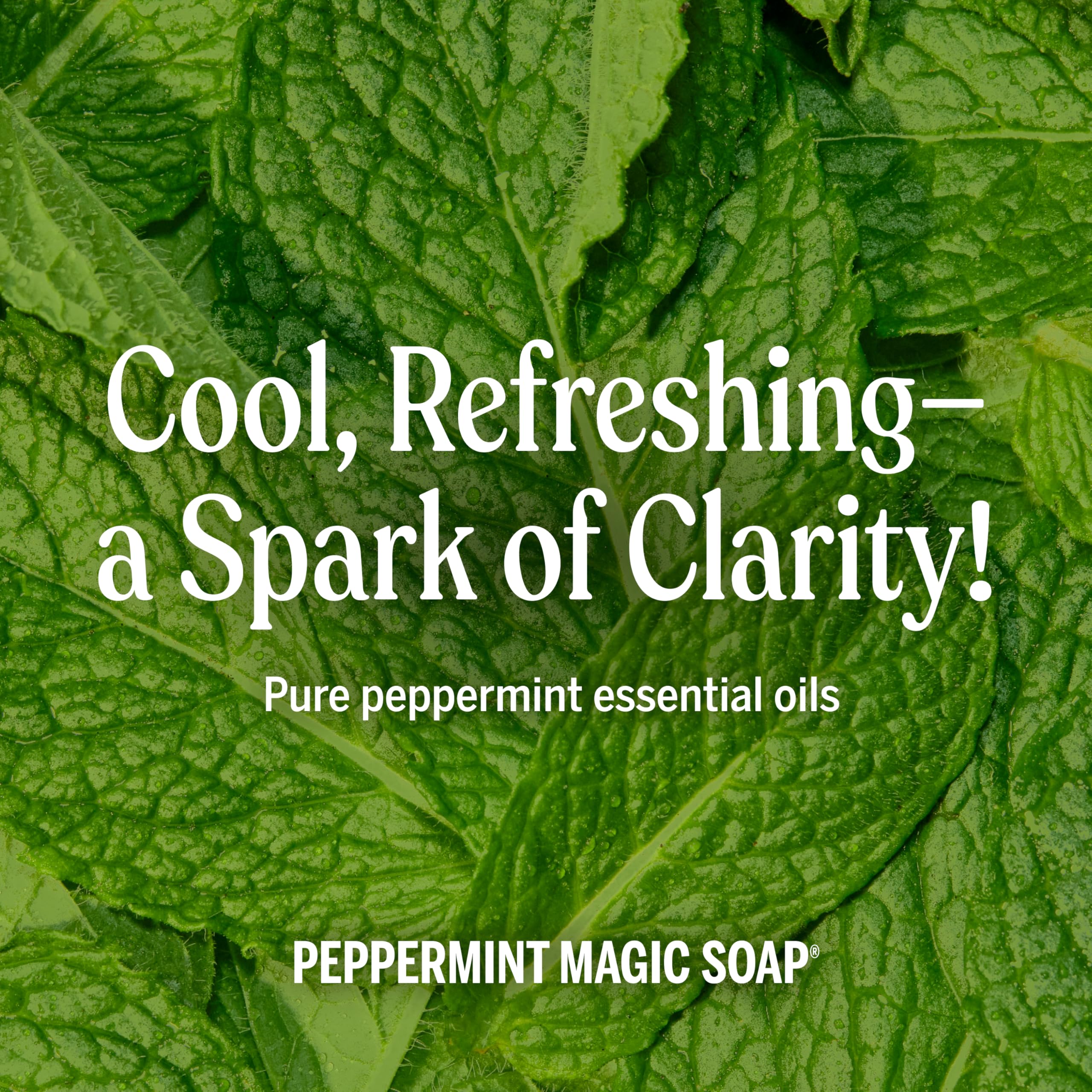 Dr. Bronner's Peppermint Pure - Castile Liquid Soap & Hand Soap & - Dr. Bronner's Official Product View 6