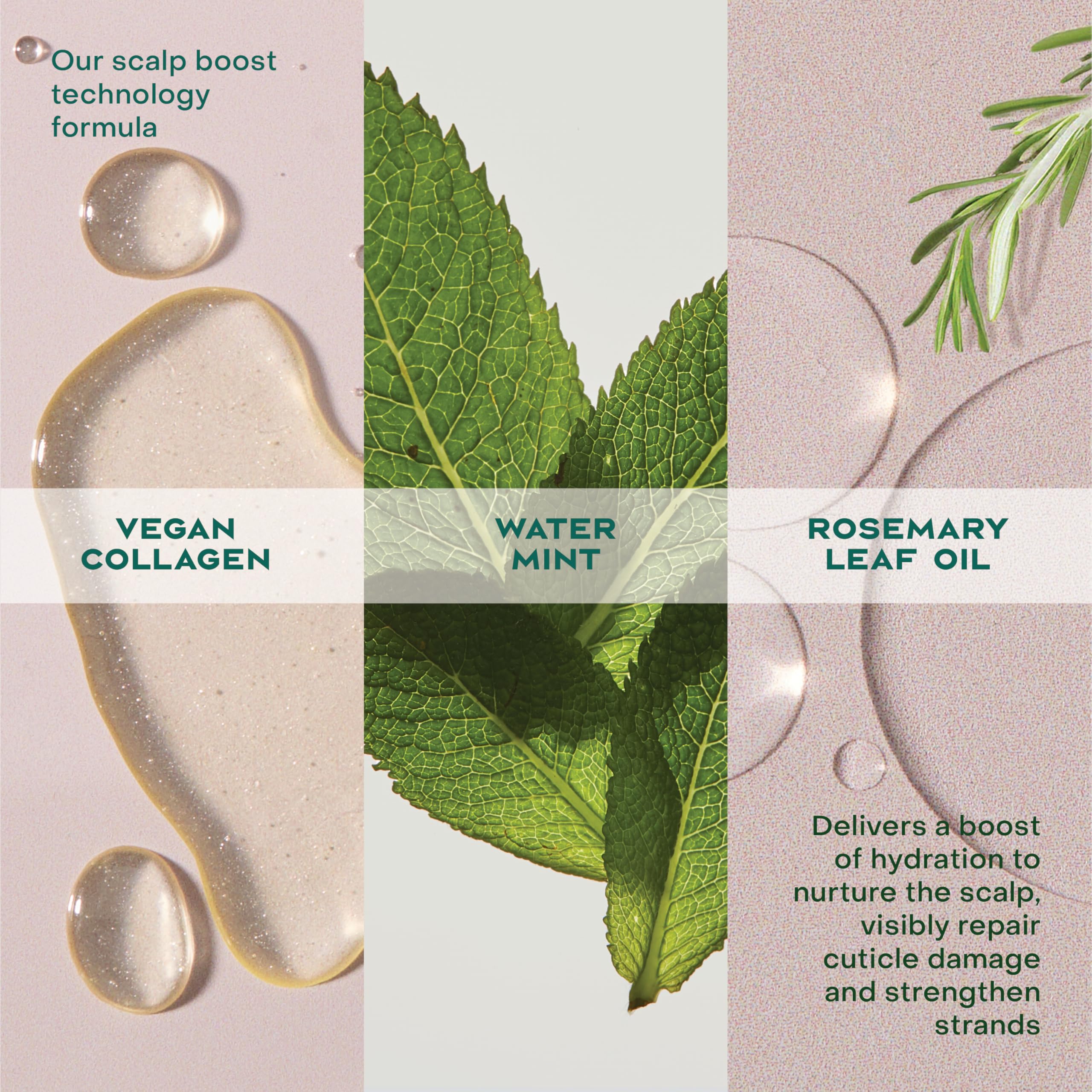 Elefair Tech Shea Moisture Strengthening Scalp & Hair Oil Rosemary & Collagen - Elefair Tech Official Product View 10