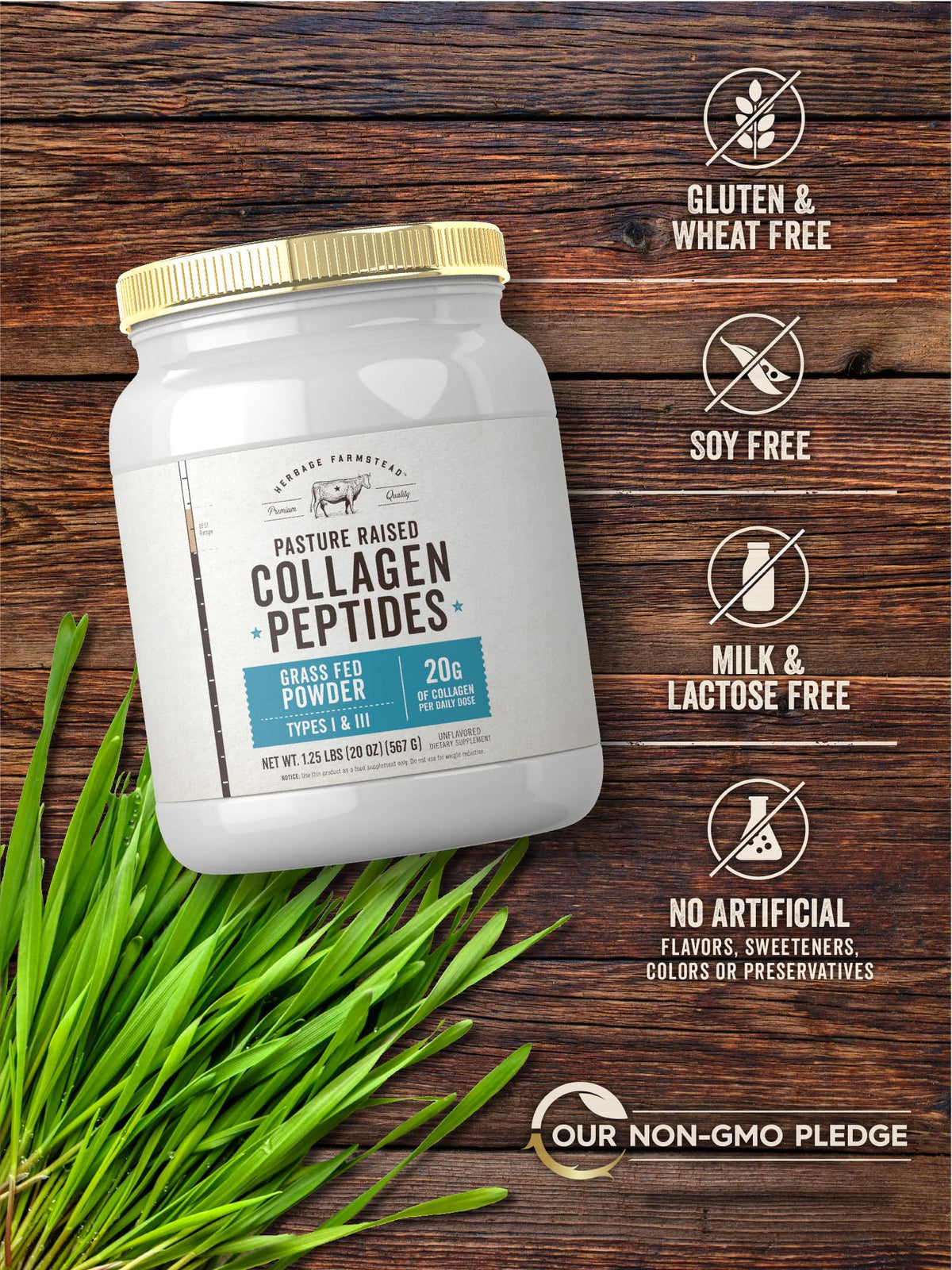 Carlyle Grass Fed Collagen Peptides Powder 20oz - Carlyle Official Imagery - 6