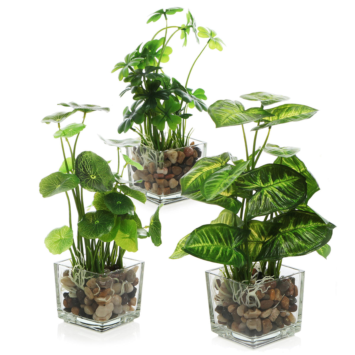 MyGift Set of 3 Small Assorted Artificial Plants in Clear - MyGift Official Imagery - 2