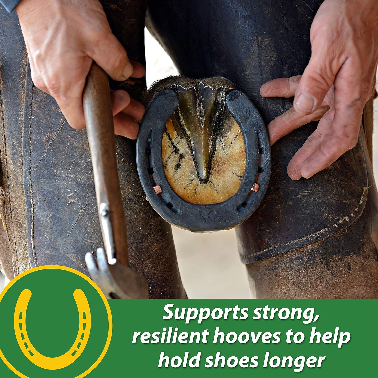 Farnam HB 15 Hoof Supplement in 3-pound container promoting healthy hoof growth for horses.