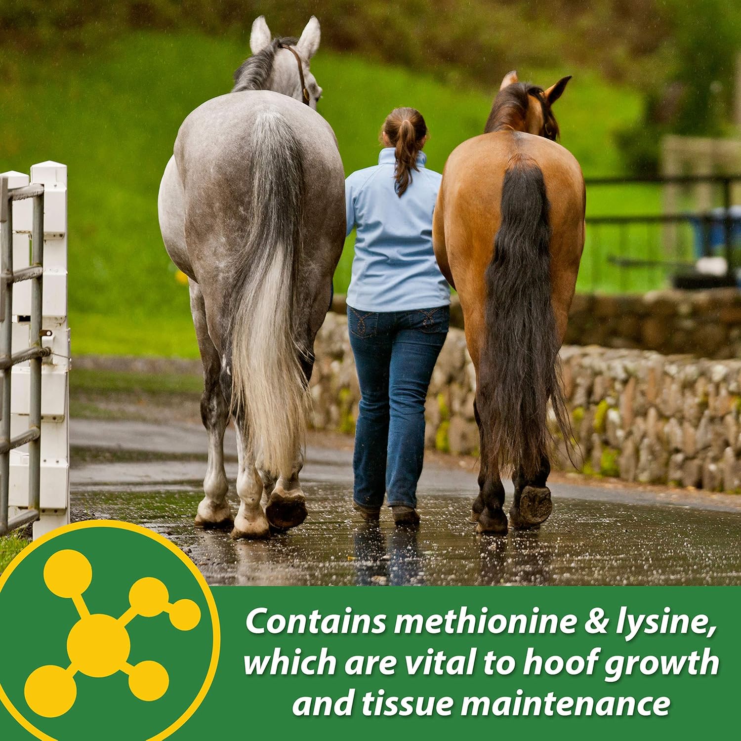 Farnam HB 15 Hoof Supplement in 3-pound container, supports healthy hoof growth for horses, 48-day supply visible in image.
