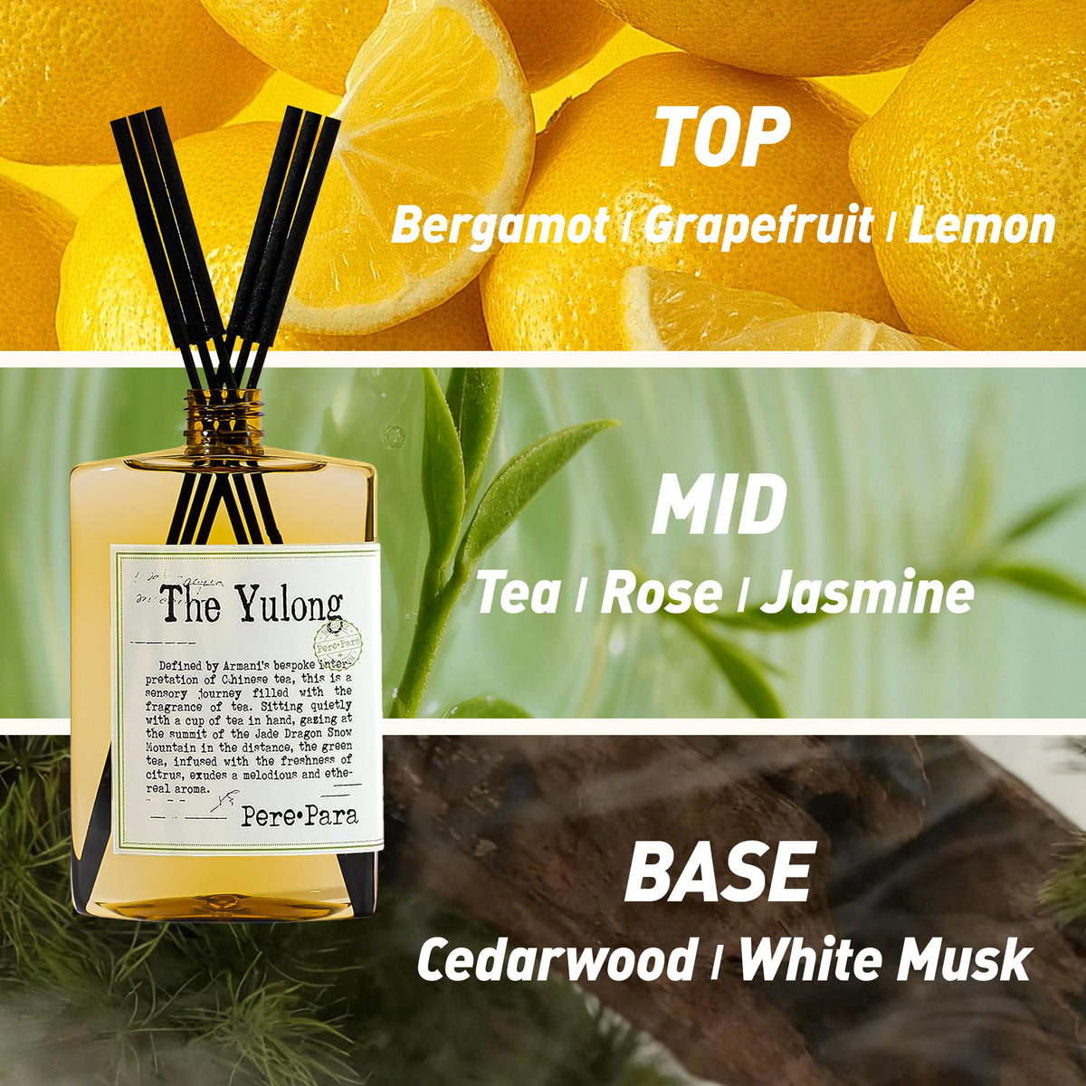 The Yulong Scent Reed Diffuser Refill Set 13 53 fl oz with 6 - Pere Para Official Imagery - 5