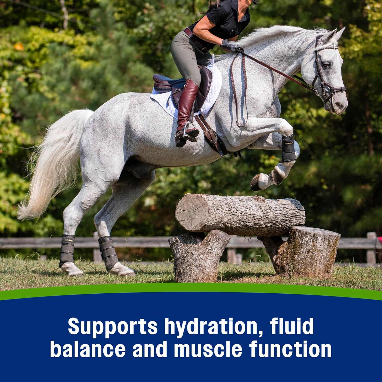Farnam Apple Elite Horse Electrolytes Powder supplement in 5 lb bag, replaces vital minerals for horse hydration and recovery.