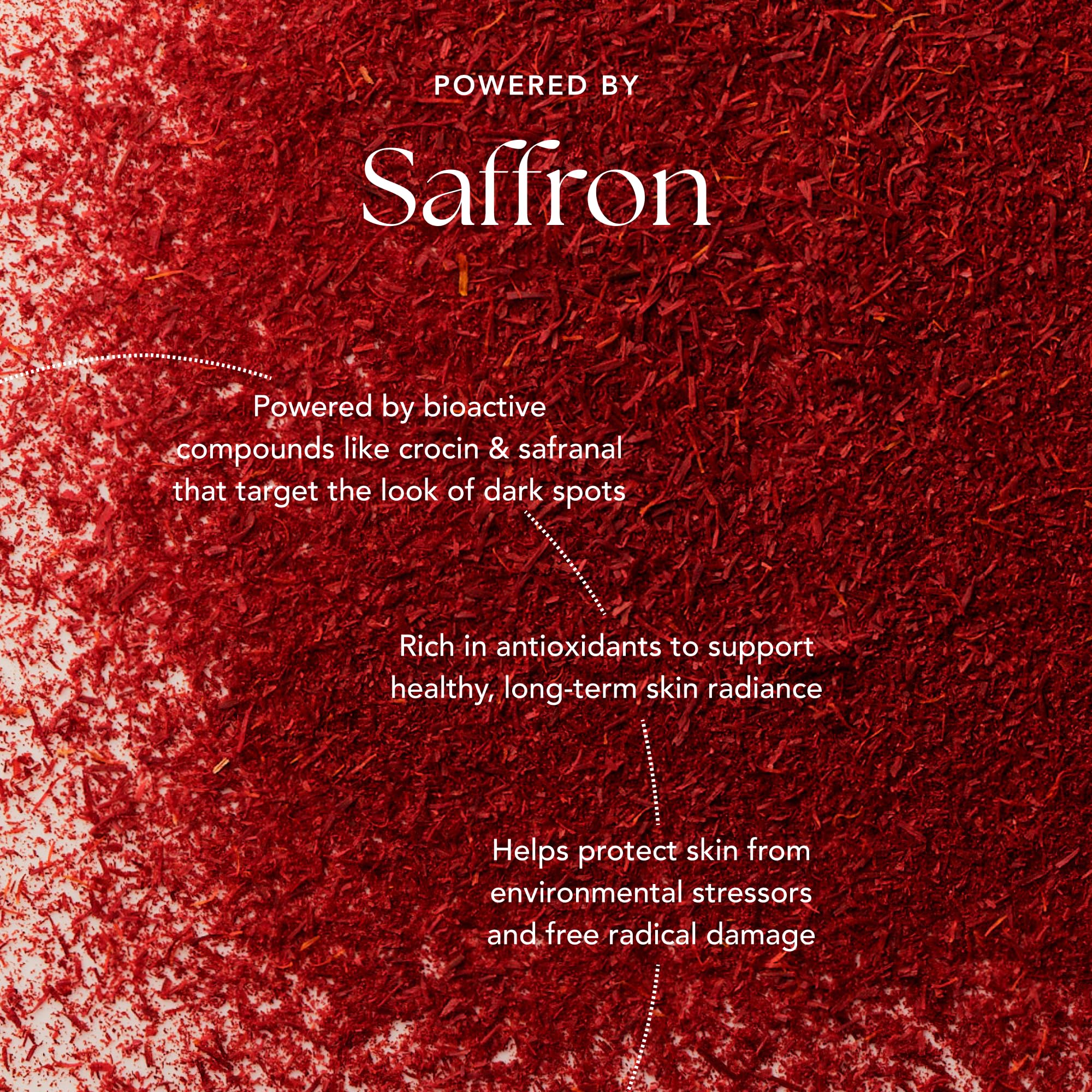 RANAVAT BOTANICS RANAVAT Saffron Brightening Face Serum & Dark Spot Treatment - RANAVAT BOTANICS Official Product View 8