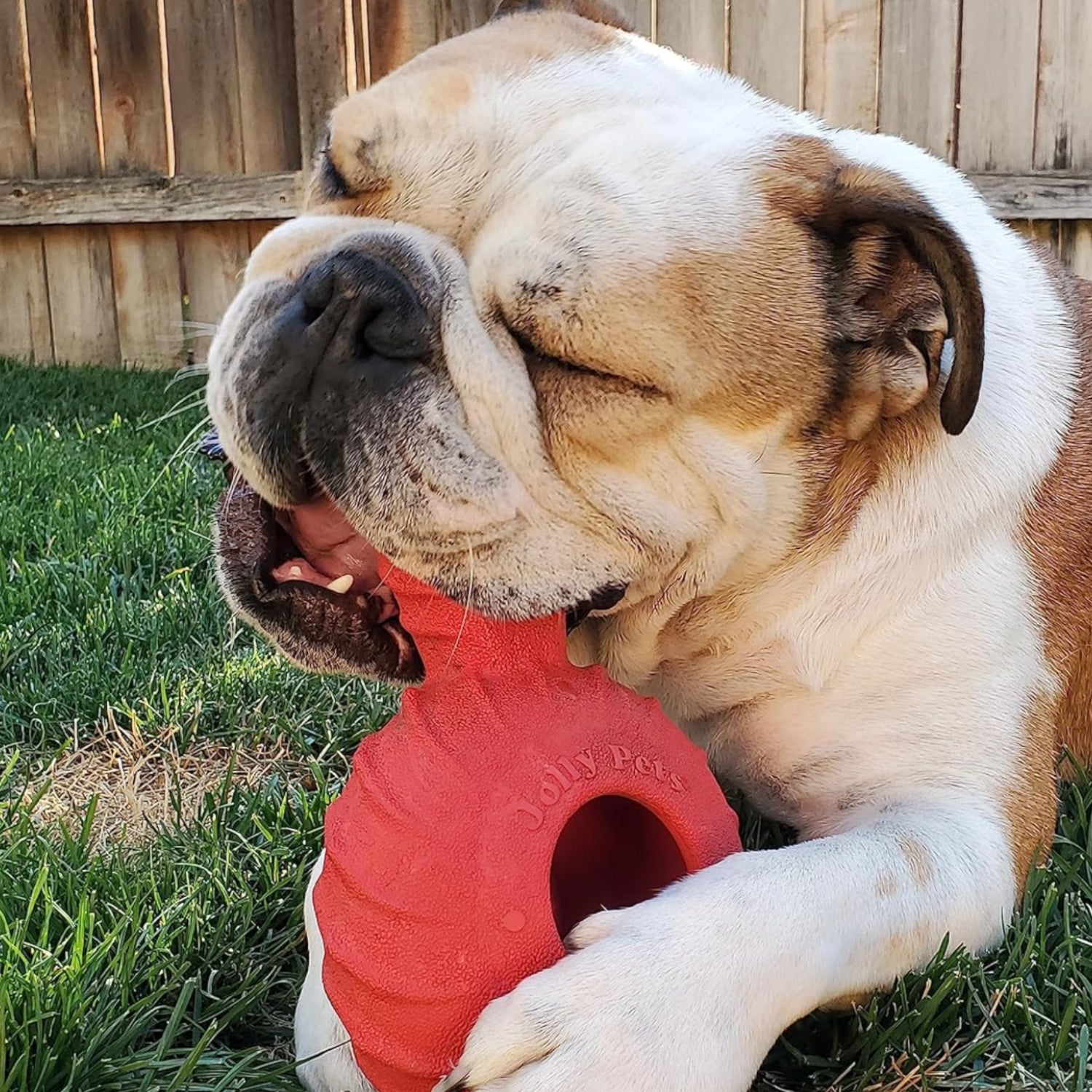 Red Jolly Pets Tuff Treader dog toy with handle, 6-inch size, durable rubber for all breed sizes, model JTR23.