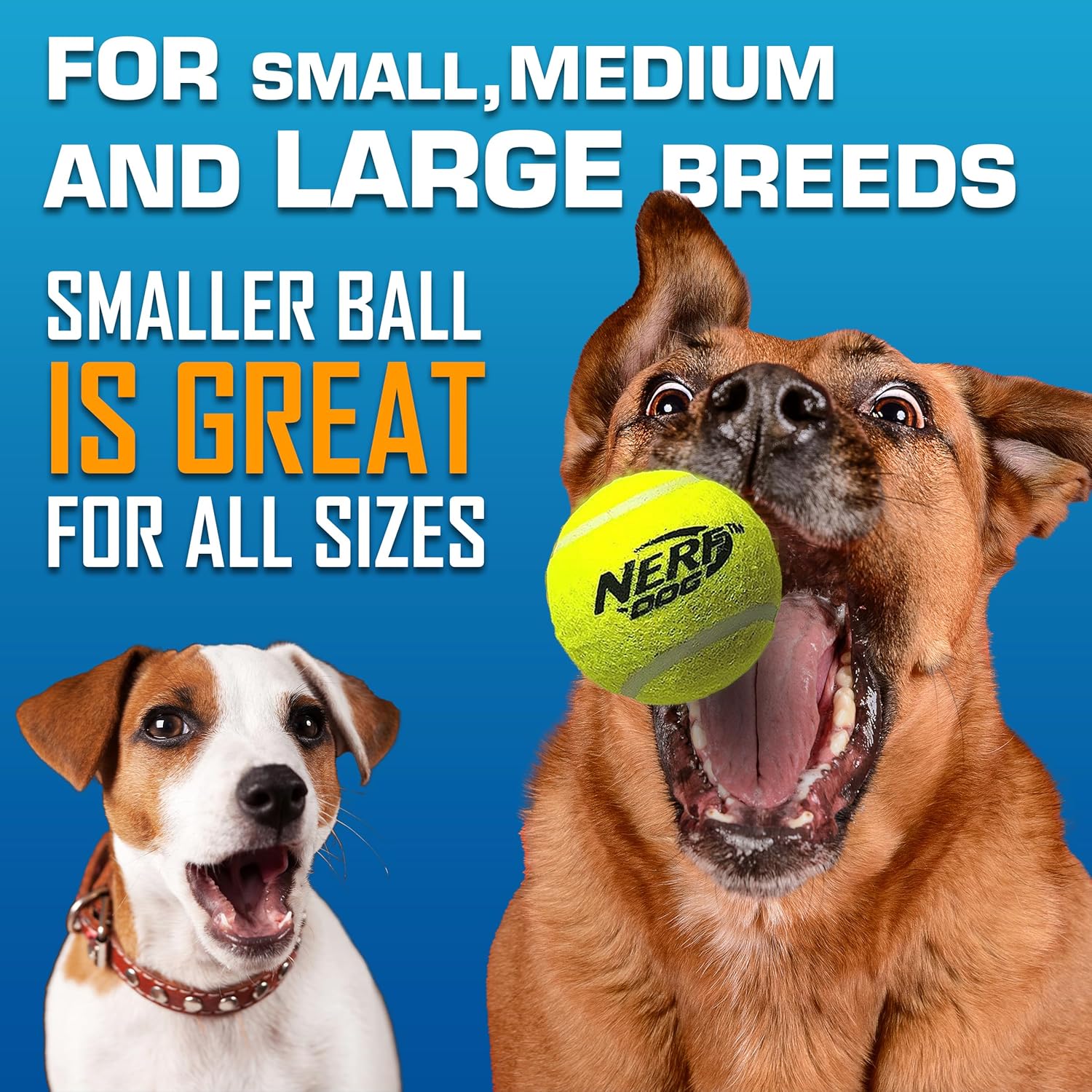 Nerf Dog Tennis Ball Blaster toy set with a bright yellow tennis ball and launch mechanism for dogs to fetch and play.