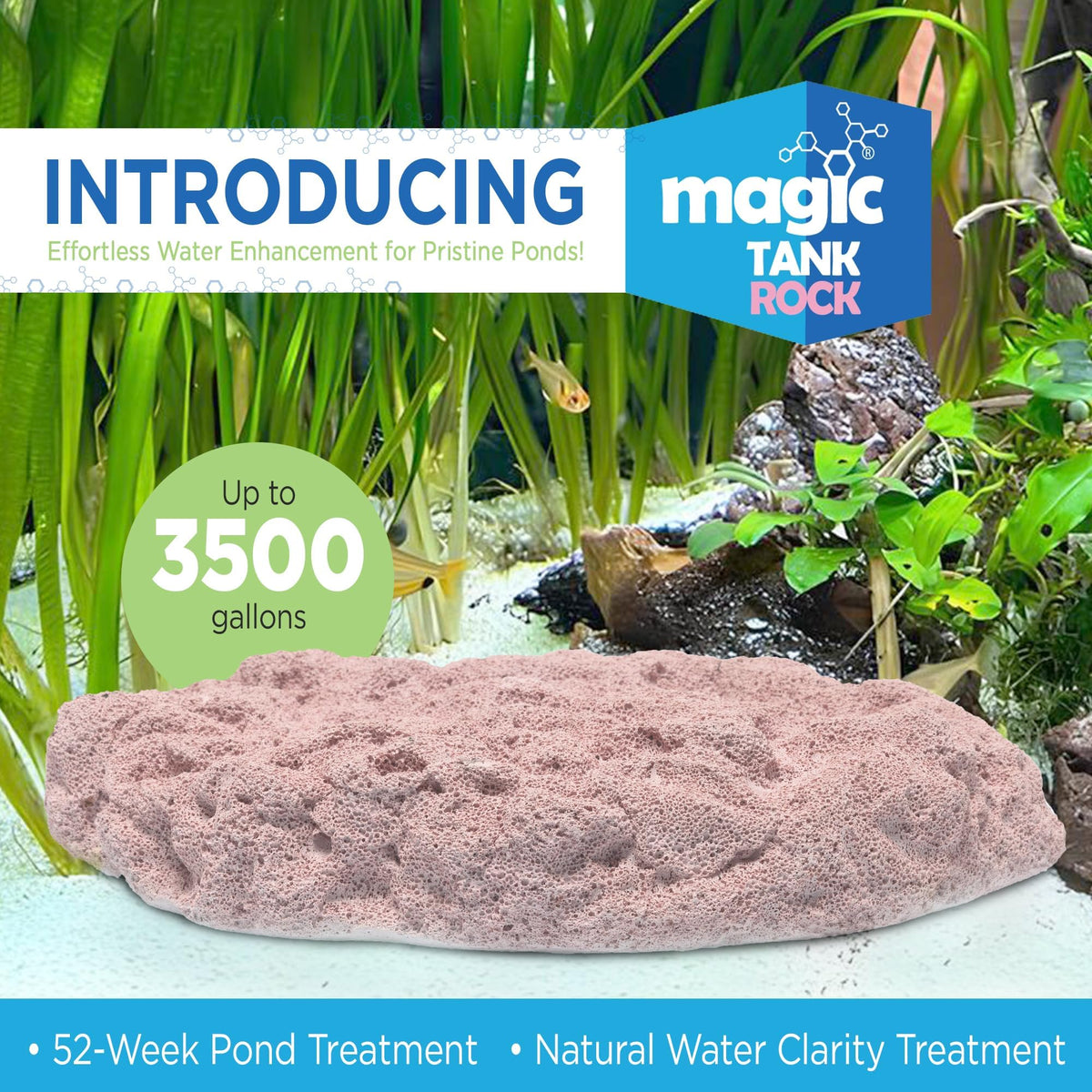 Fish Tank Rocks for Enhancing Water Clarity with Your - Magic Tank Rock Official Imagery - 3