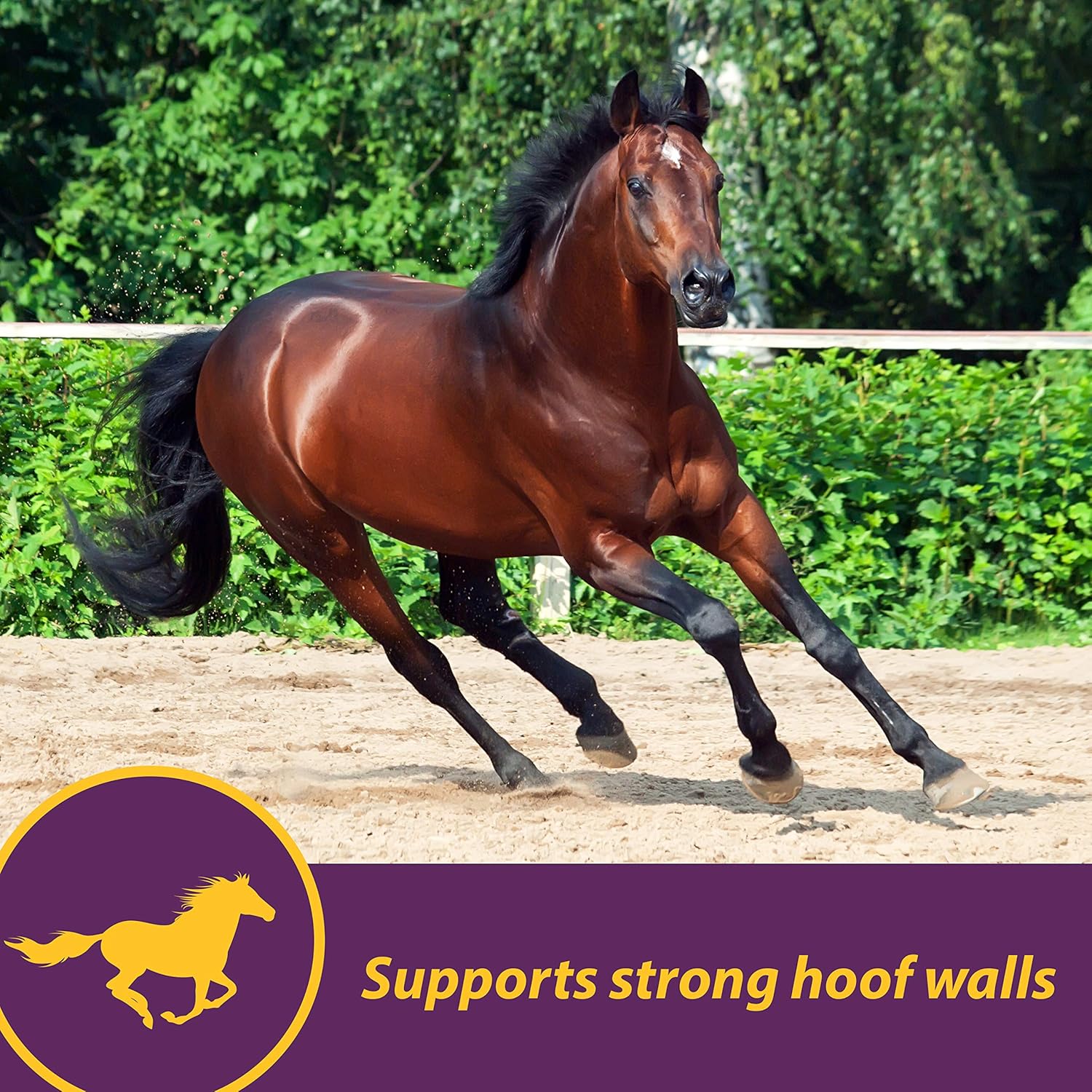 Horse Health Vita Biotin Crumbles for horses with biotin supplement to support healthy hooves, 3 lbs, 48-day supply.