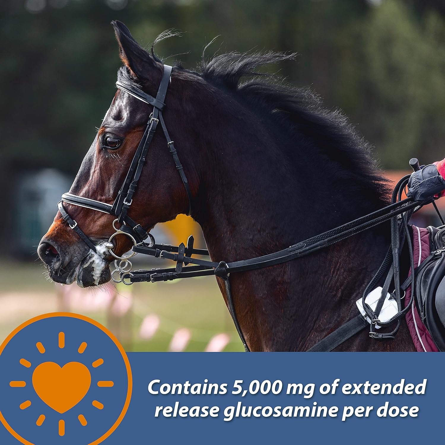 Farnam MaxFlex XR extended release joint supplement for horses, showing the product container with label and horse image.