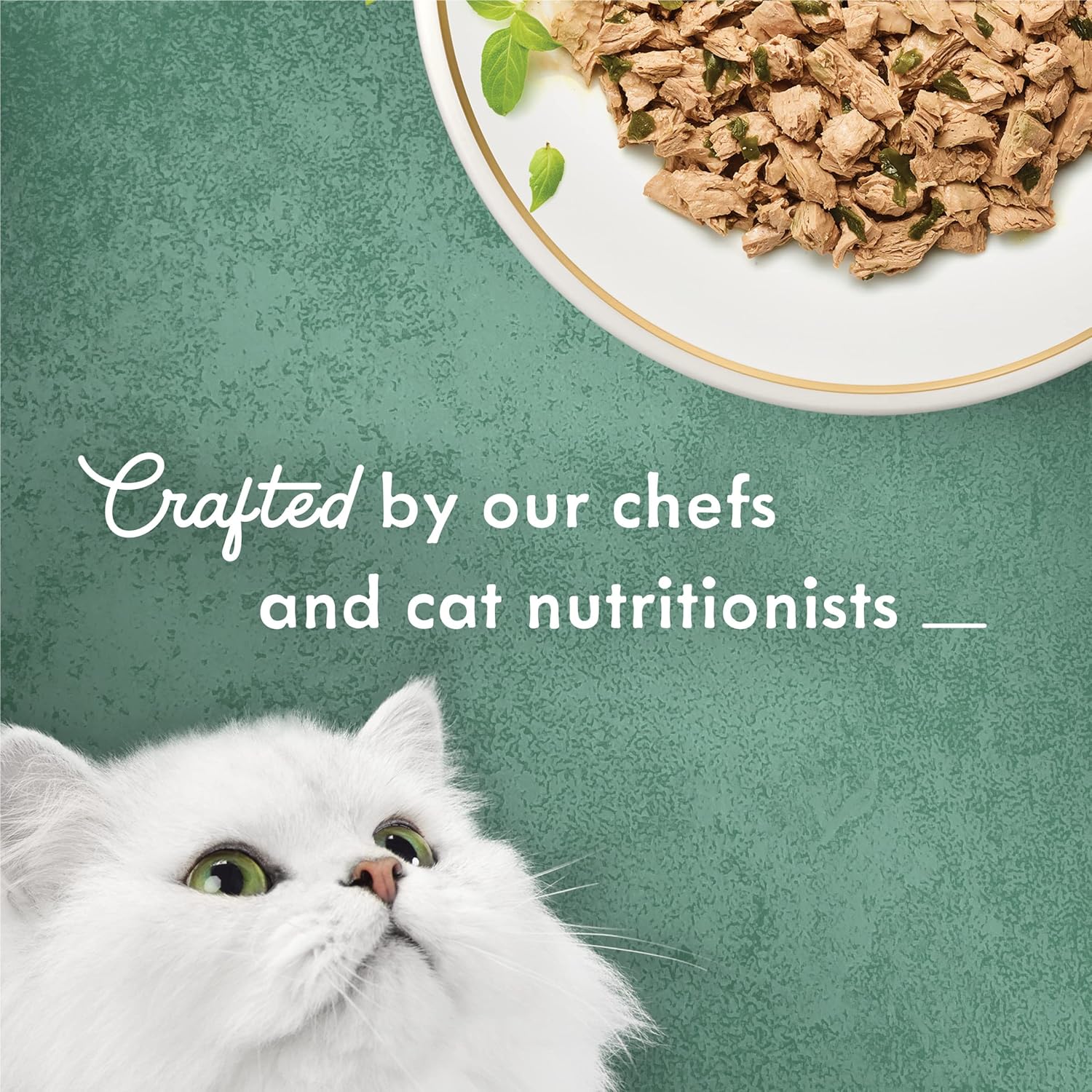 Cans of Purina Fancy Feast Medleys shredded tuna cat food with spinach in savory broth, 3 oz., pack of 24.