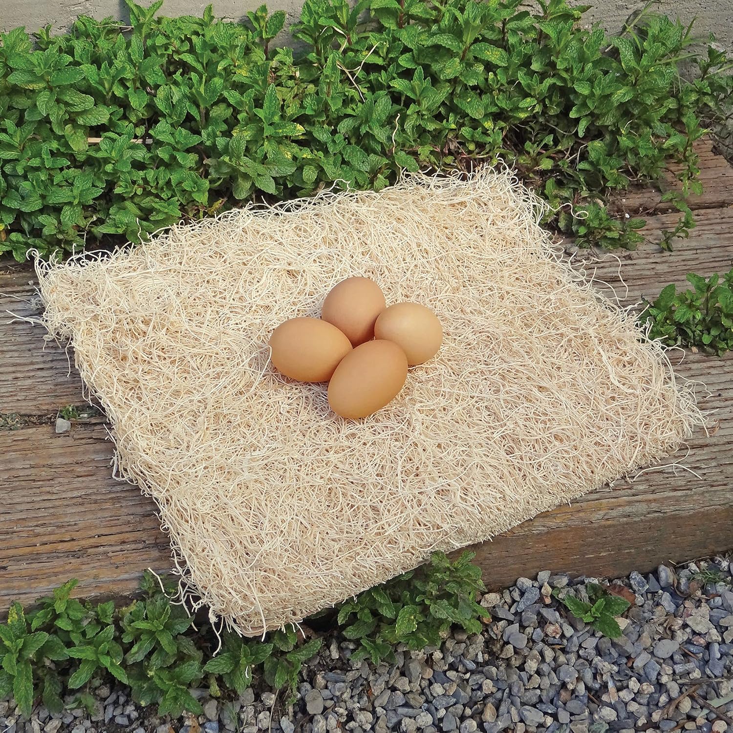 Set of 10 beige Precision Pet chicken nesting pads, 13x13 inches, designed for nesting boxes, made in the USA.