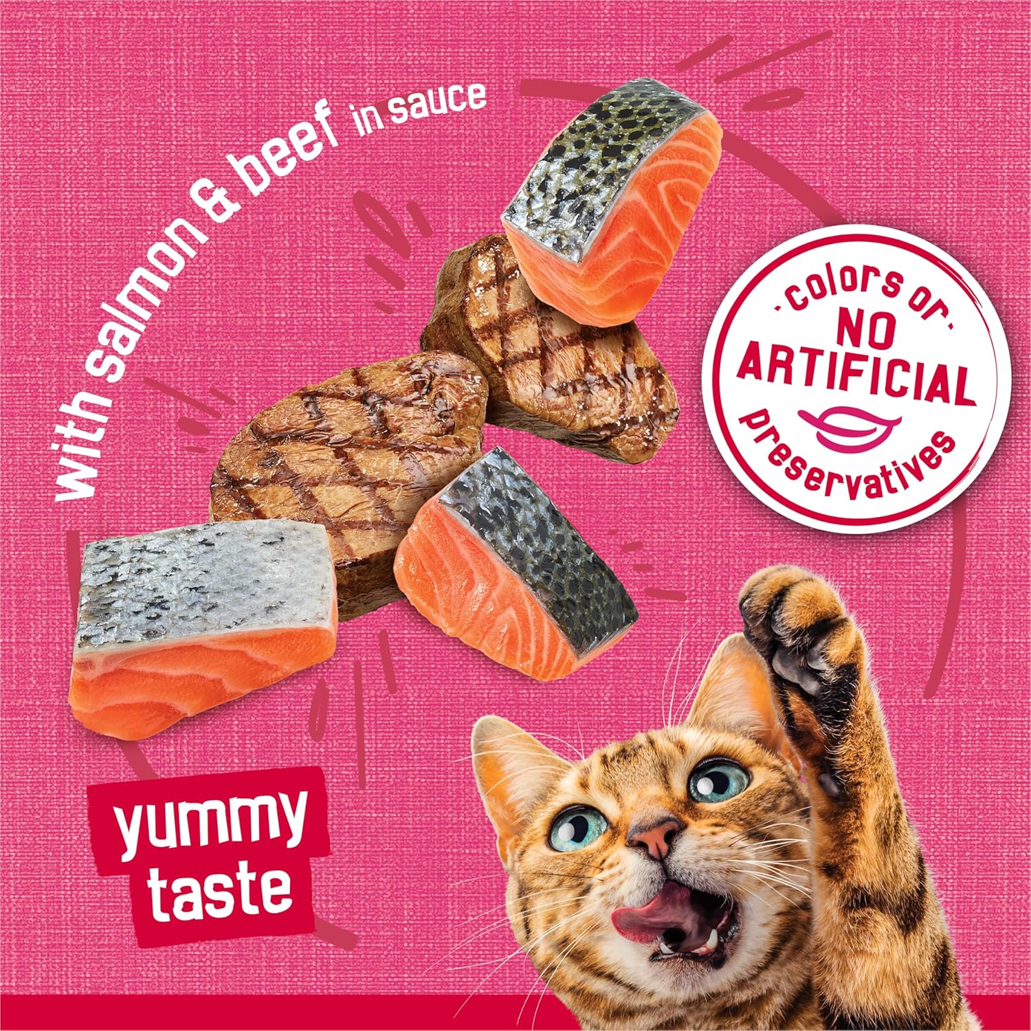 Friskies Prime Filets wet cat food cans with salmon and beef in sauce, high protein, 5.5 oz, pack of 24