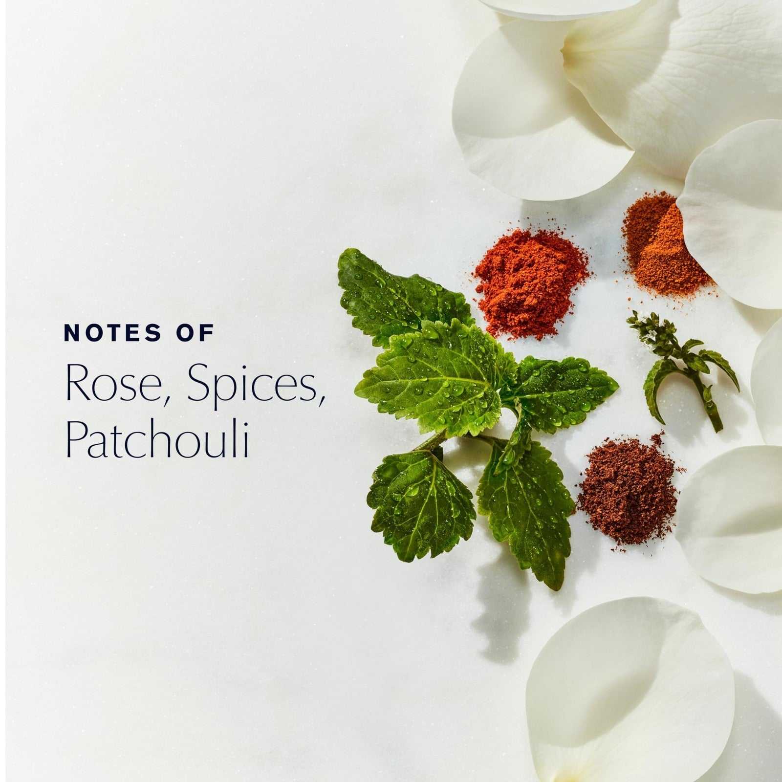 Estée Lauder Youth-Dew Dusting Powder box with body powder and puff in light green packaging