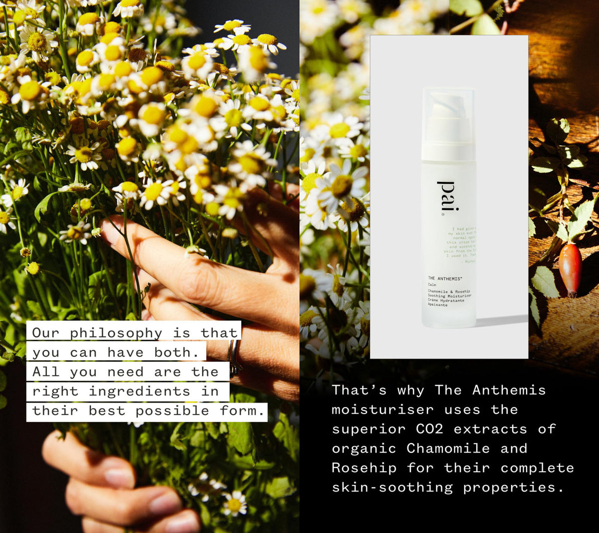 PAI SKINCARE