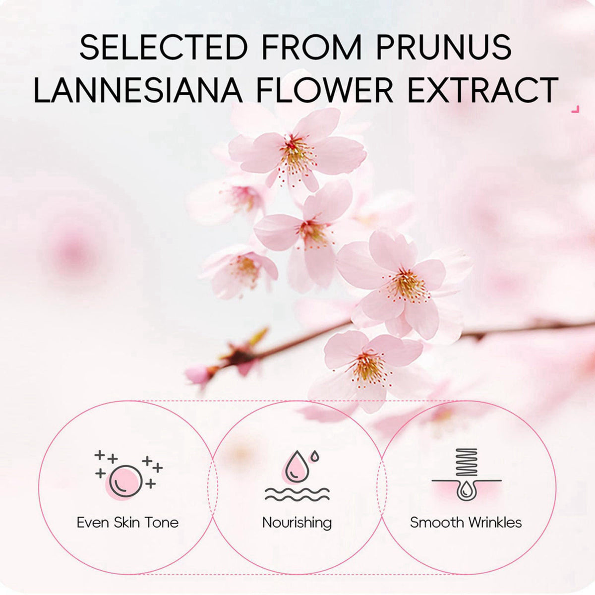 Skin Care Set Sakura Women Beauty Gift Sets Korean Skin Care