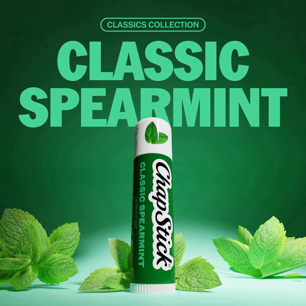 ChapStick Classic Spearmint Lip Balm Bulk 12 Pack