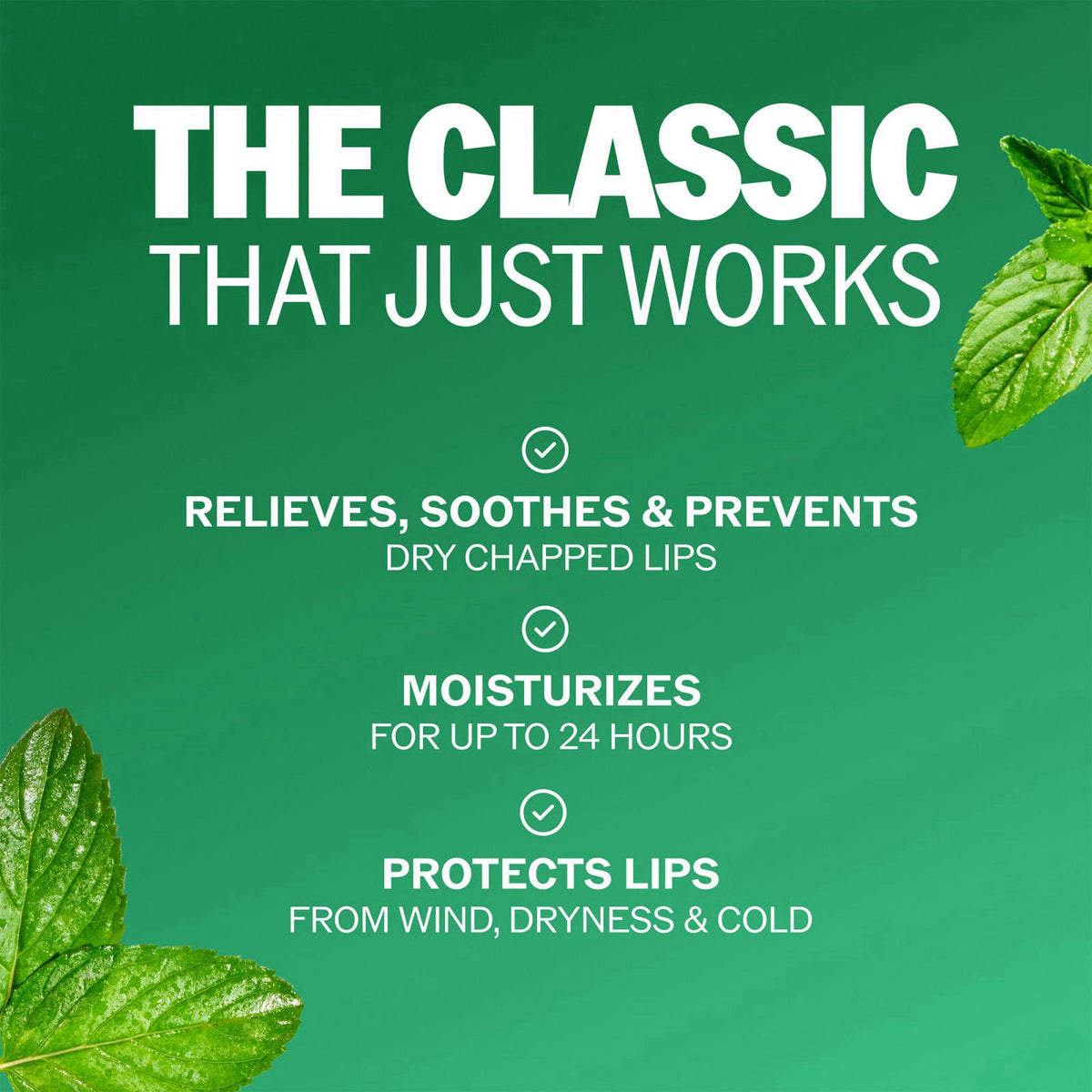 ChapStick Classic Spearmint Lip Balm Bulk 12 Pack