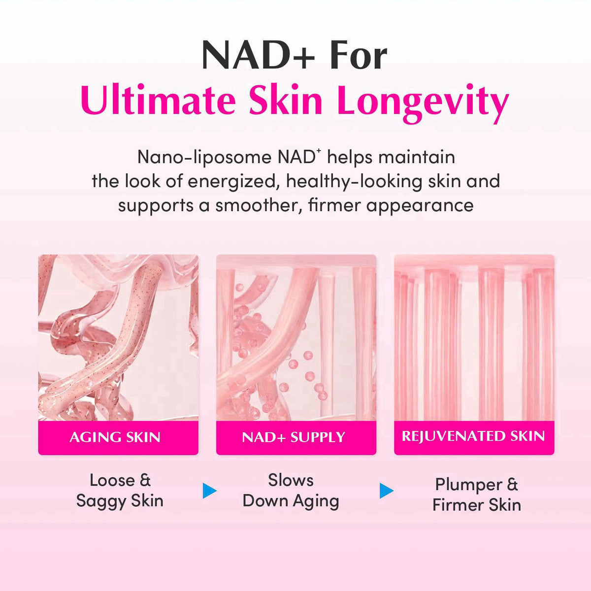 EQQUALBERRY NAD Peptide Boosting Cream NAD 5 13 Peptides