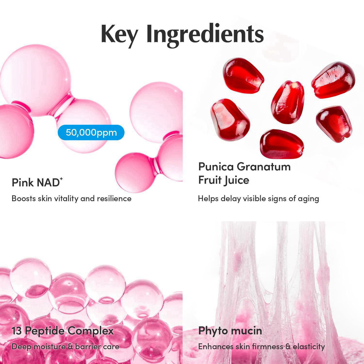 EQQUALBERRY NAD Peptide Boosting Cream NAD 5 13 Peptides