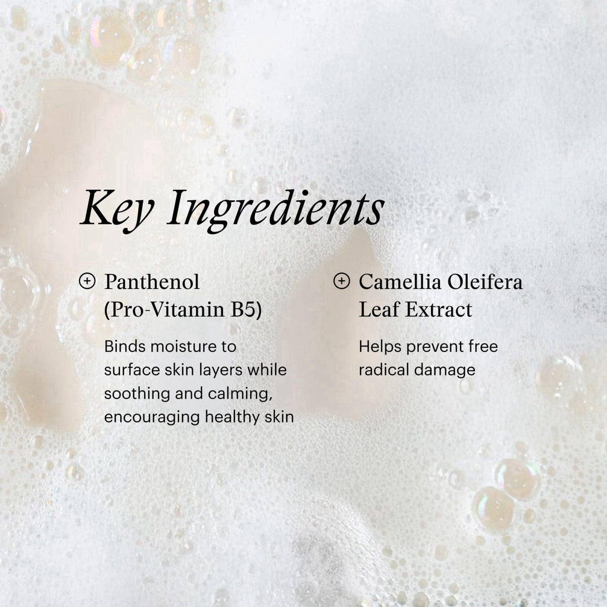 SkinMedica Facial Cleanser, 6 Fl Oz – back view and specifications