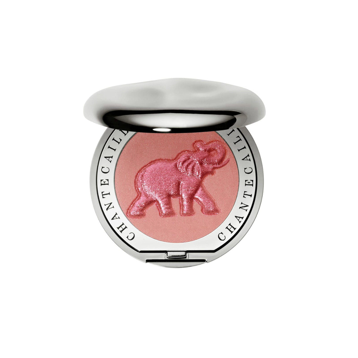 Chantecaille Cheek Shades in Pebble, Finely Milled Lightweight Buildable Matte Powder Blush – product photo (Blush)