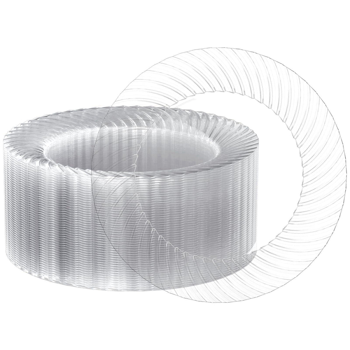 FOCUSLINE 10 Inch Clear Plastic Plates 100 Count Disposable