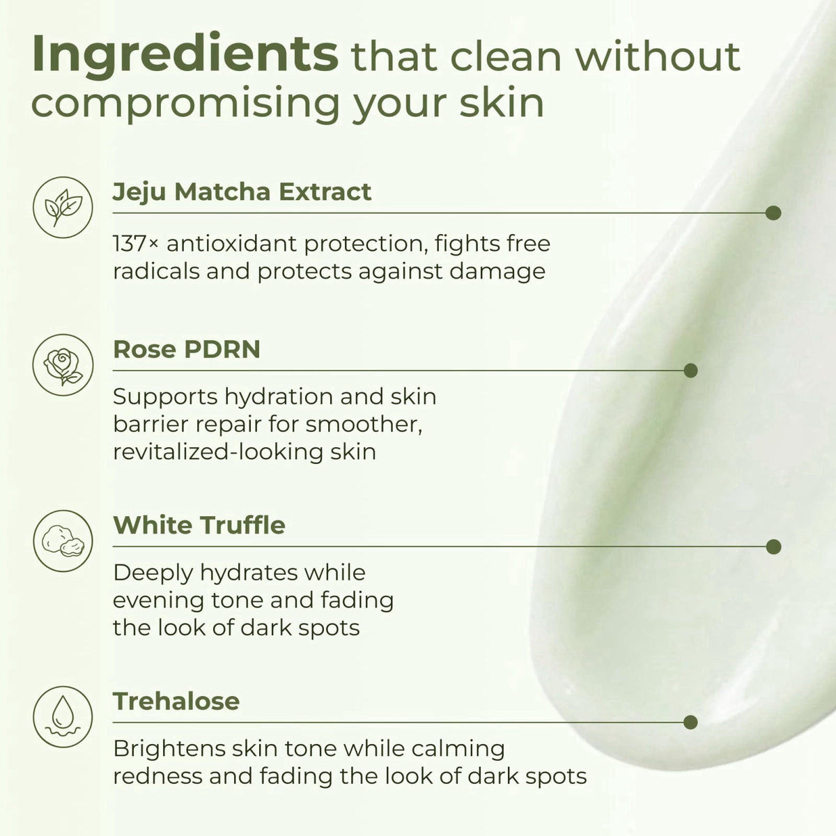 VELVENTE Matcha PDRN Korean Anti-Aging Firming Moisturizer, Dark Spot Cream – full view