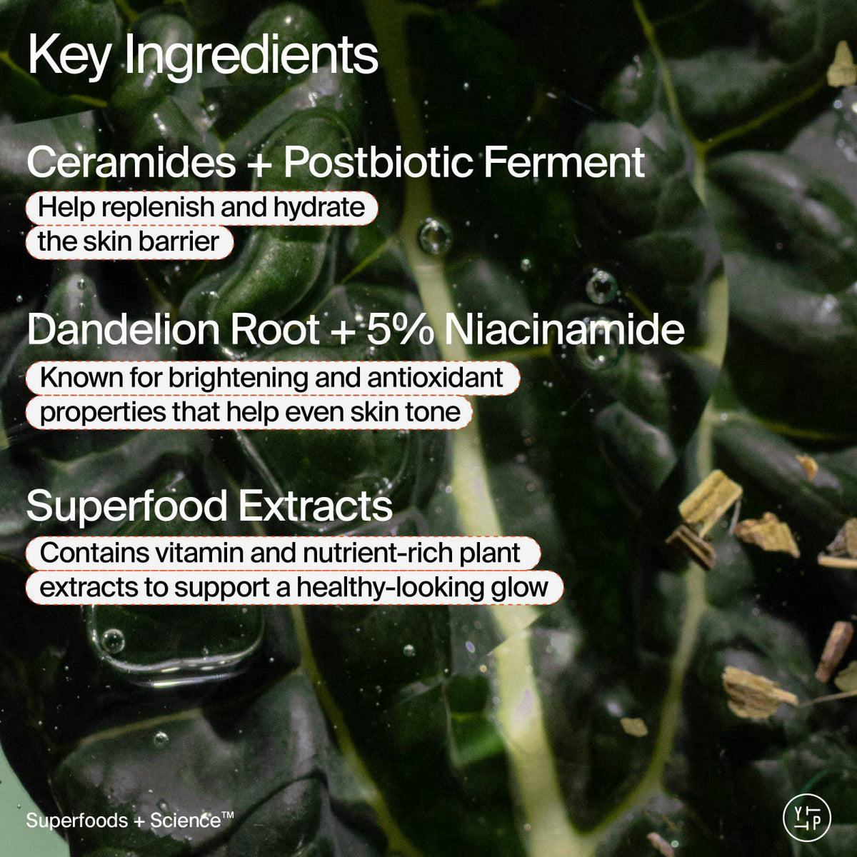 Youth To The People Superfood Skin Drip Smooth Glow Face by Premium Selection — view 7