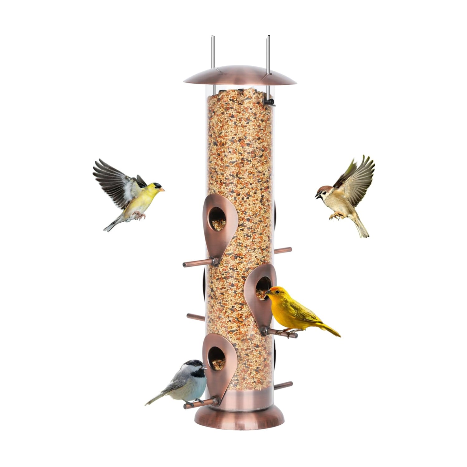 FEED GARDEN metal bird feeder with six ports, heavy-duty design, suitable for outdoor use and deterring squirrels