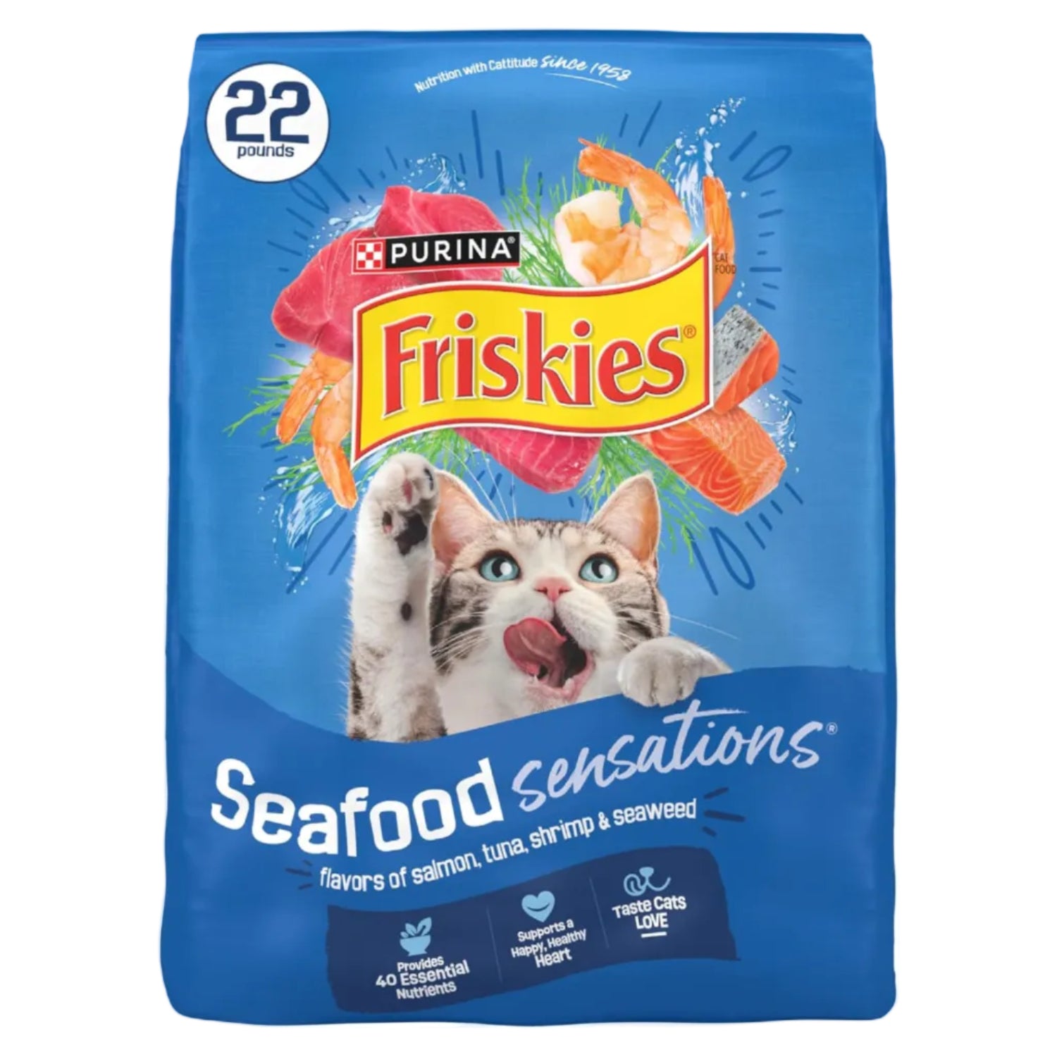 Bag of Friskies Dry Cat Food Seafood Sensations with Salmon and Tuna, showing colorful packaging of pet food for cats.