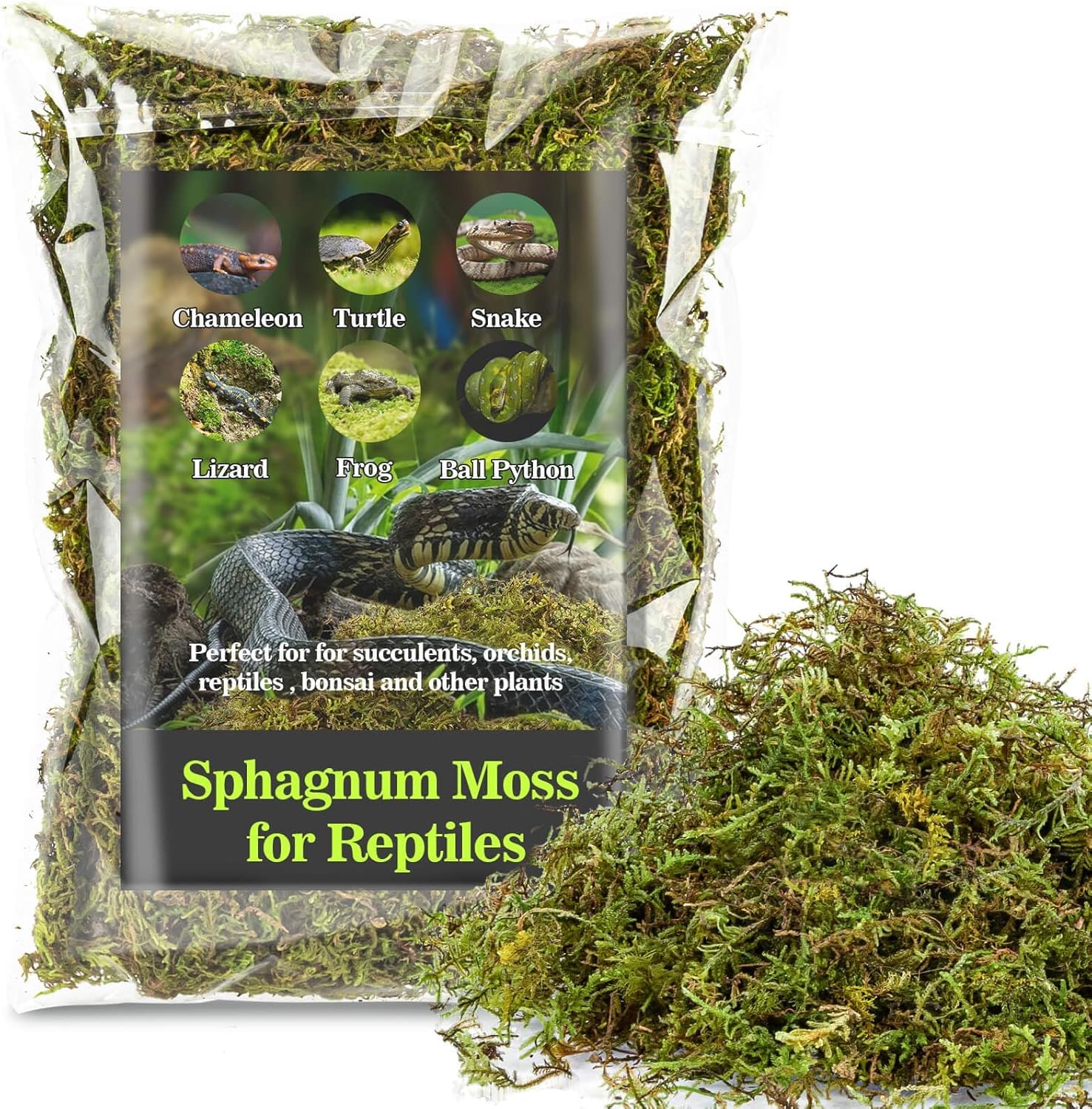 Sukh Sphagnum Moss for reptiles in a terrarium, showing natural peat moss with green and brown moss textures.