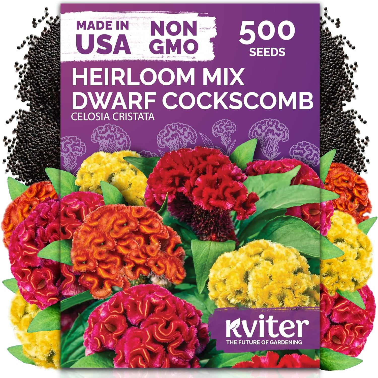 Kviter heirloom mix dwarf cockscomb seeds packaging with colorful flowers on a white background