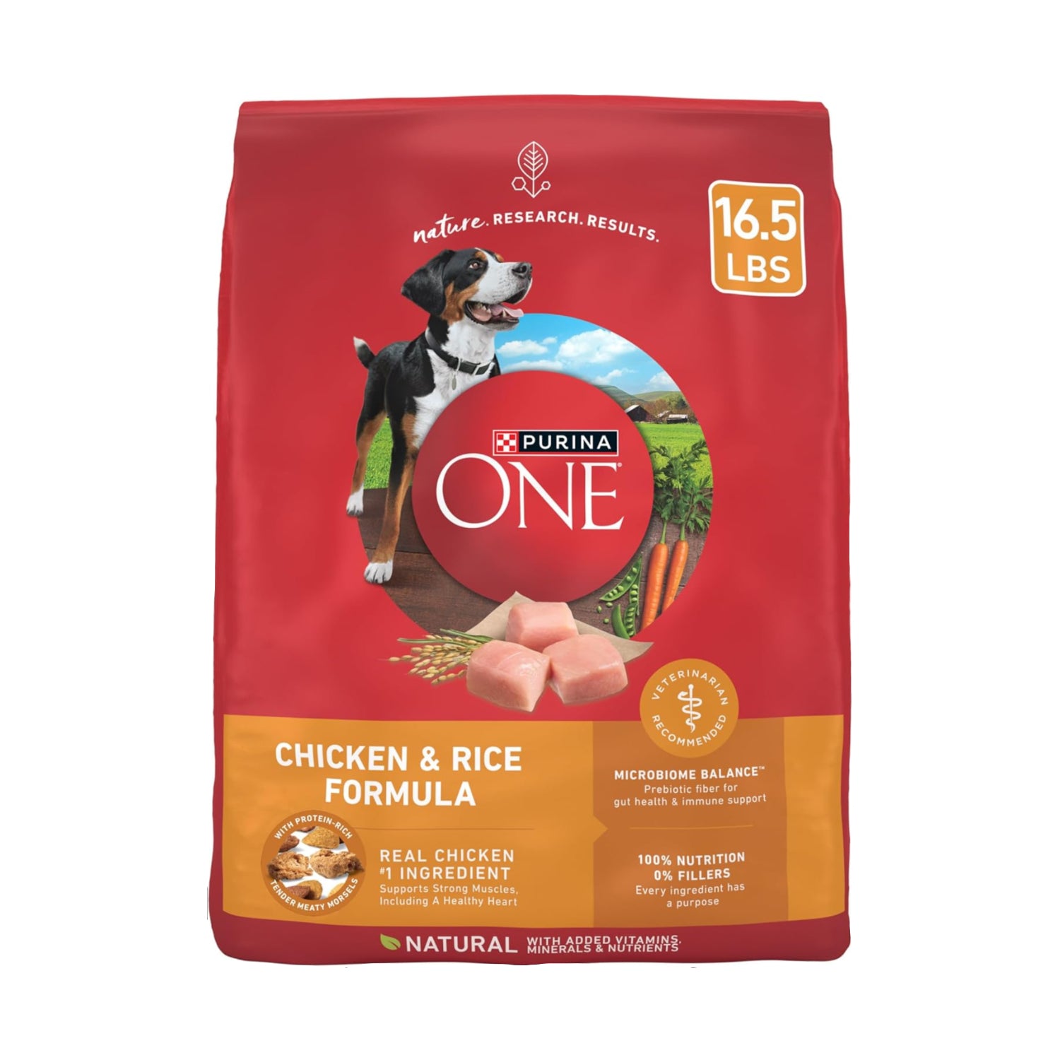 Purina ONE Chicken and Rice Formula dry dog food in a 16.5 lb bag, featuring kibble with chicken and rice ingredients.