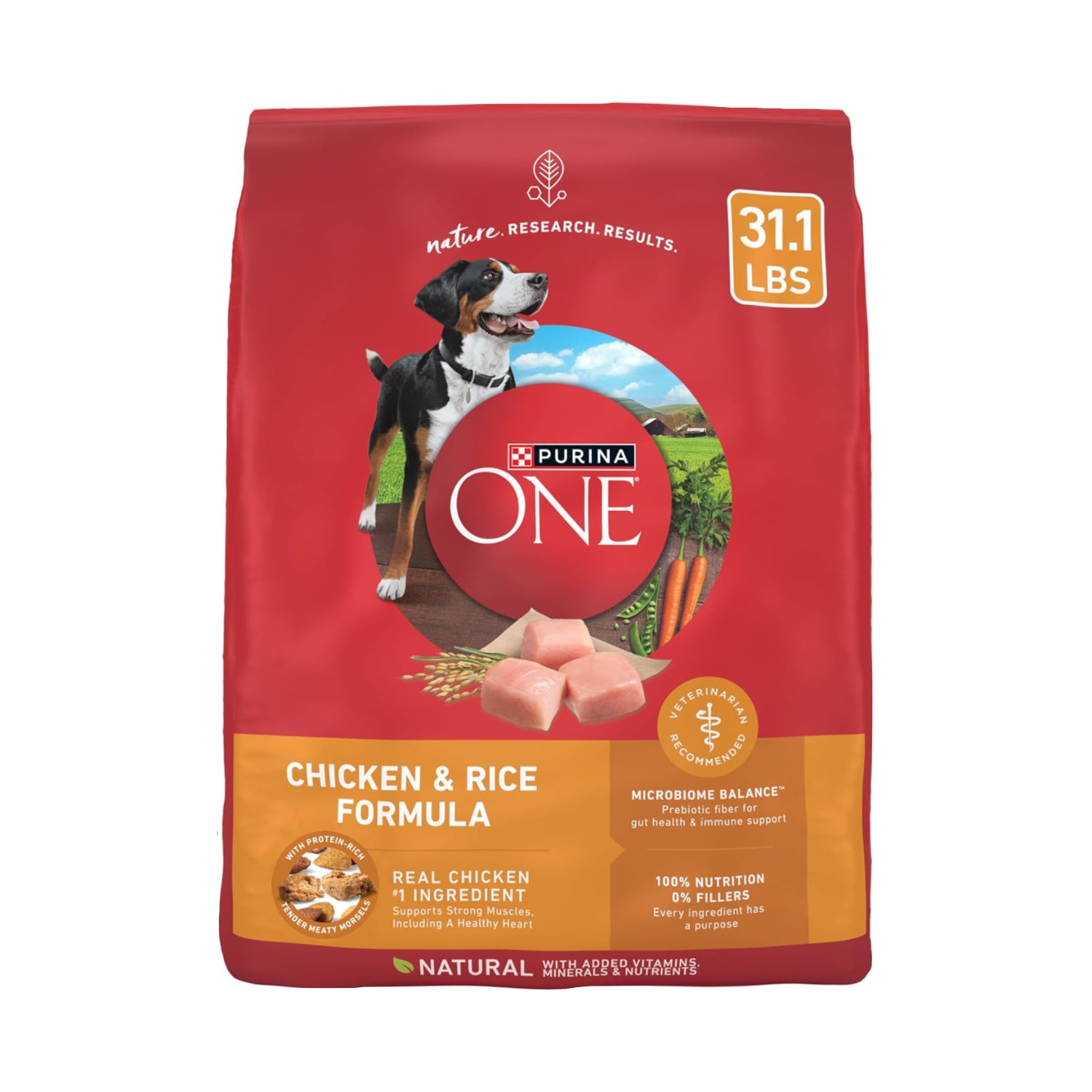 Purina ONE Chicken and Rice Formula dry dog food in a 31.1 lb bag, featuring kibble with chicken and rice for balanced canine nutrition.