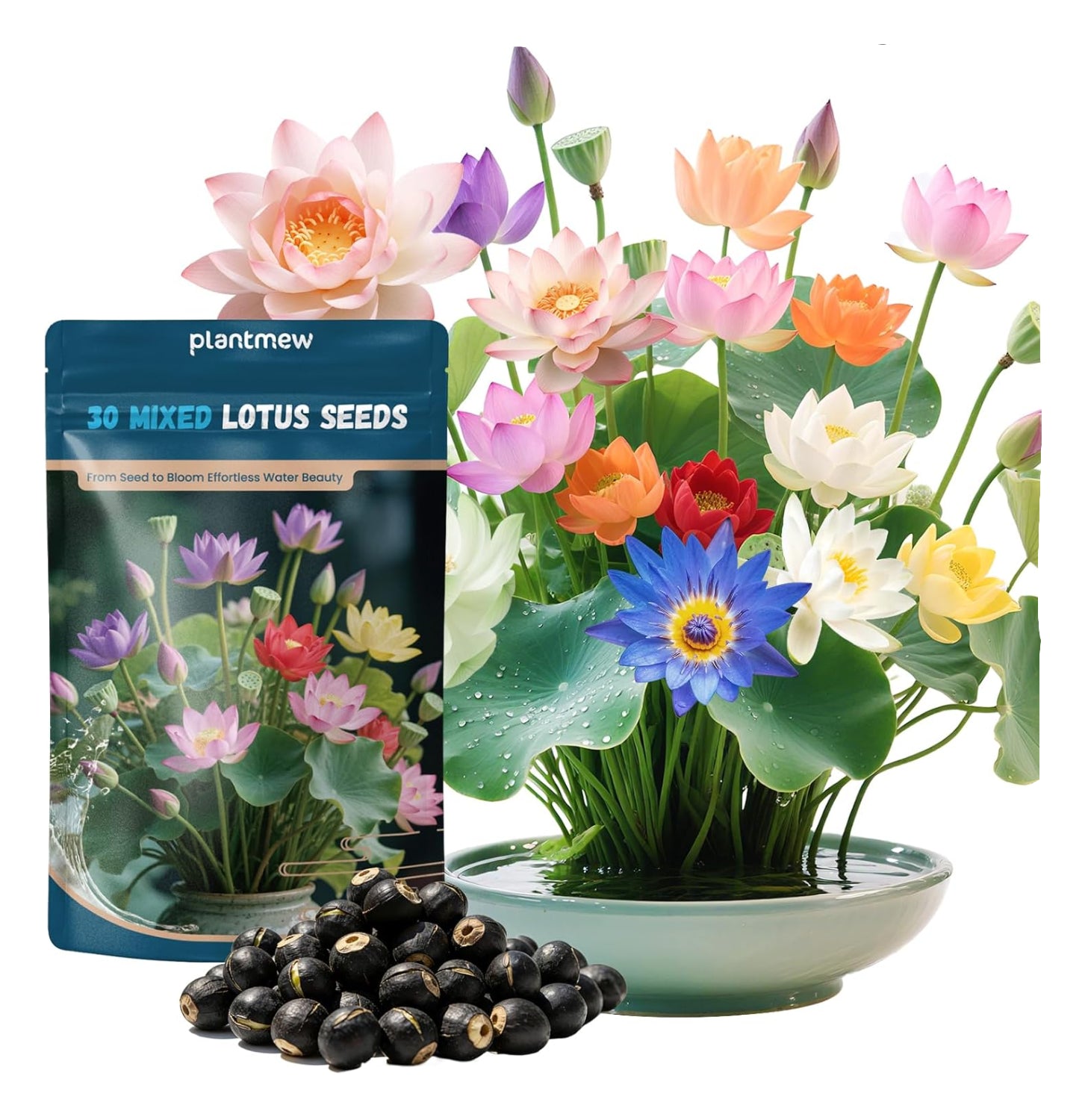 Packaging of plantmew lotus seeds with a display of colorful lotus flowers.