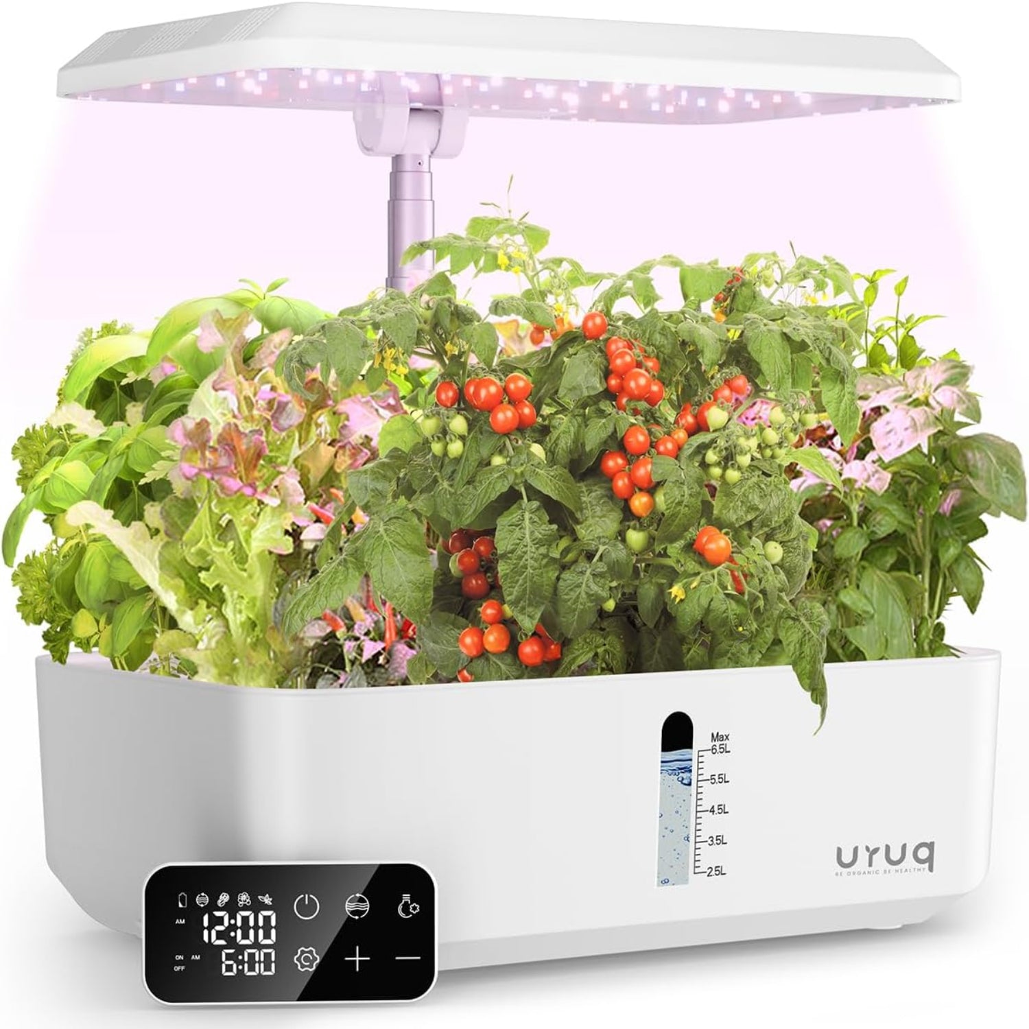 Hydroponics Growing System Garden: 12 Pods Indoor Gardening System