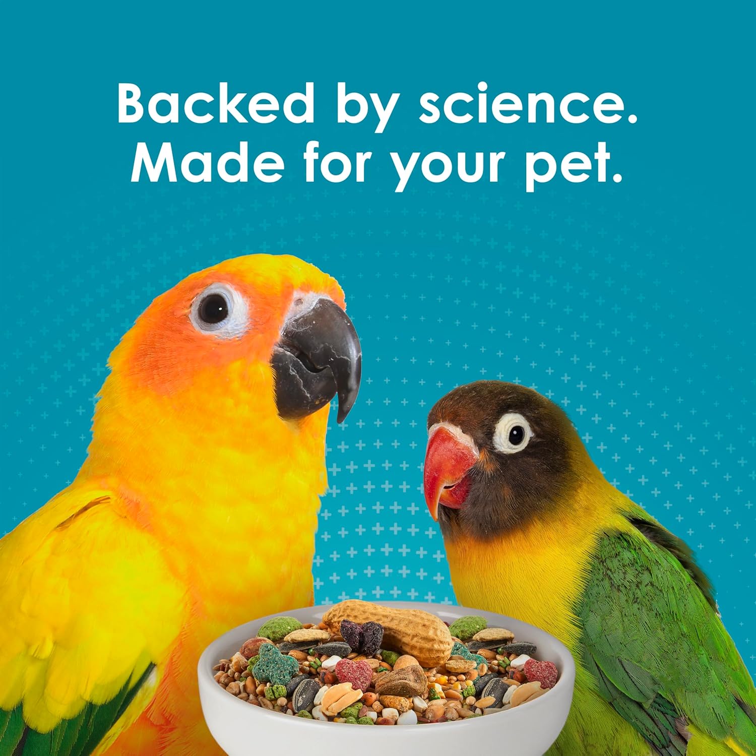 Kaytee Forti-Diet Pro Health Nourish+Protect bird food for conures and lovebirds, featuring a colorful mix of seeds and pellets.