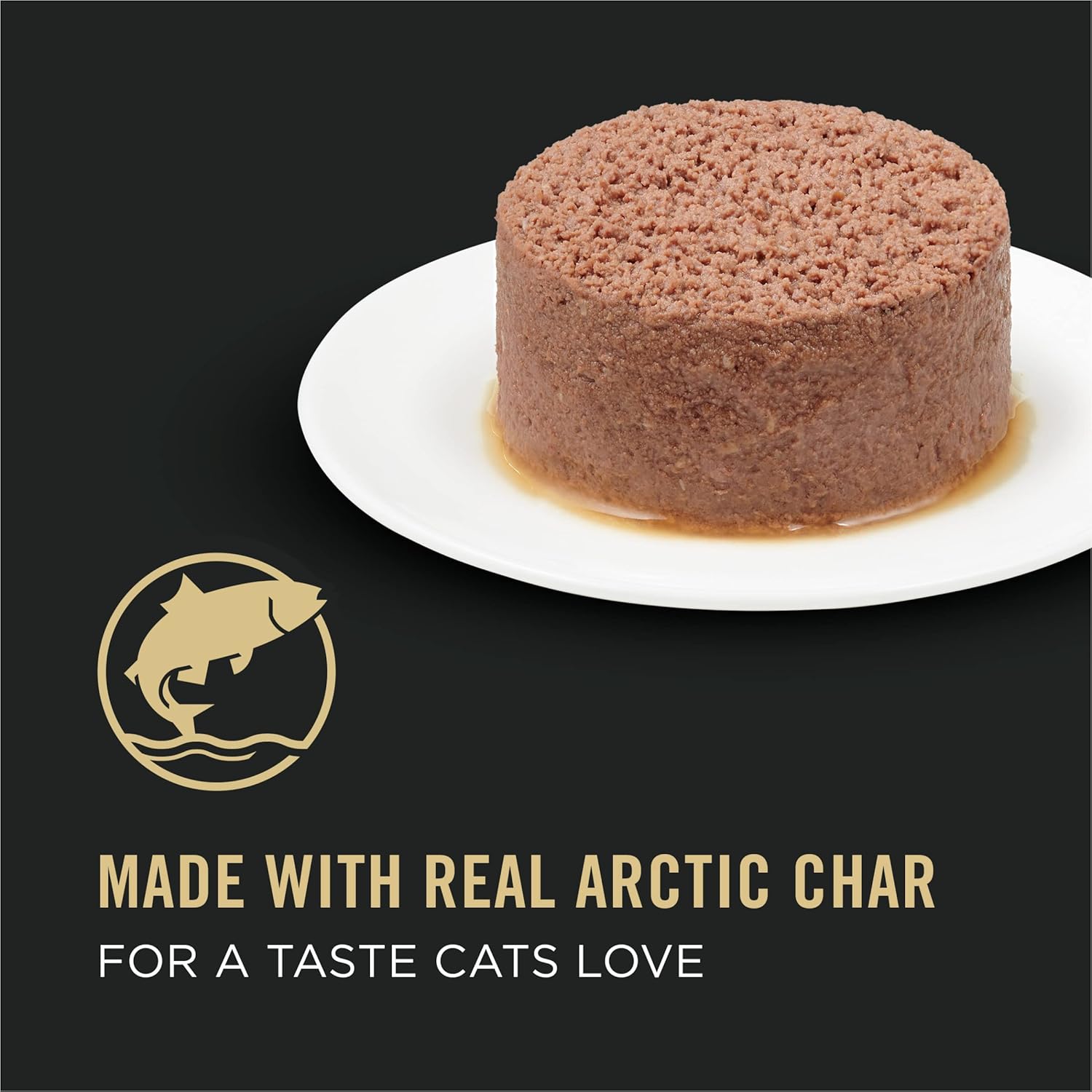 Cans of Purina Pro Plan Sensitive Skin and Stomach Cat Food Wet Pate with labeled packaging and product image.