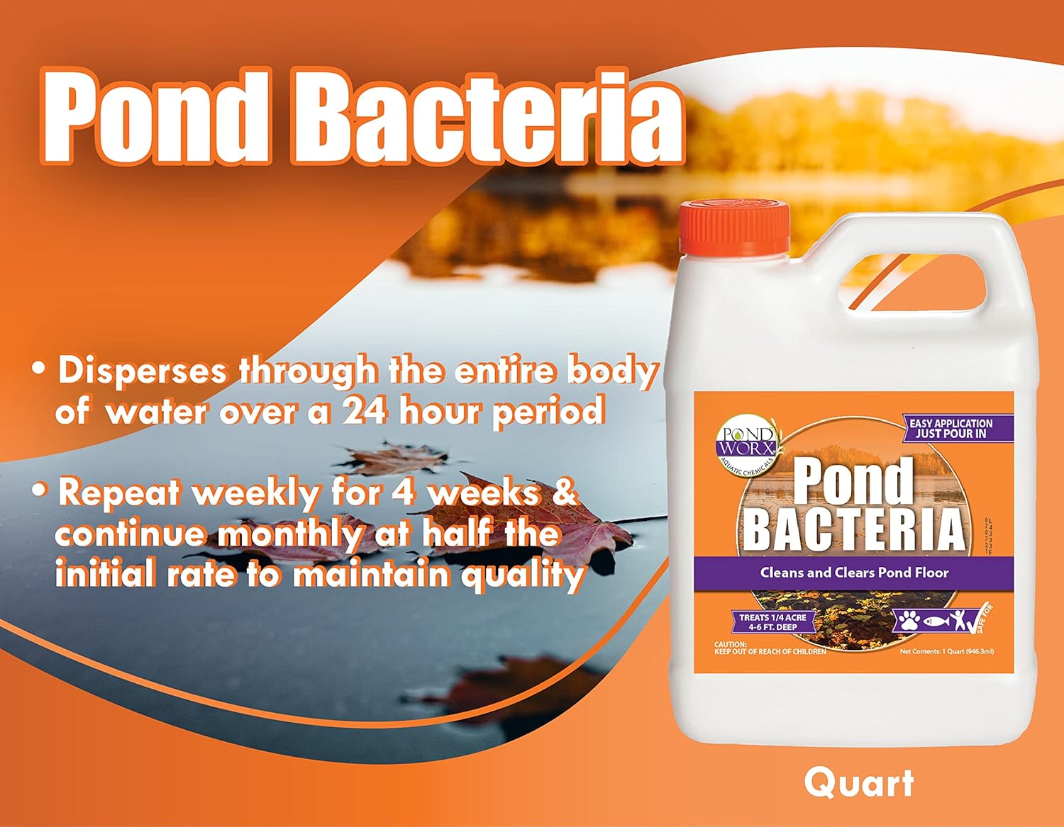 Pond Worx Pond Bacteria bottle with label, concentrated formula for large ponds, green and white packaging, product shot.