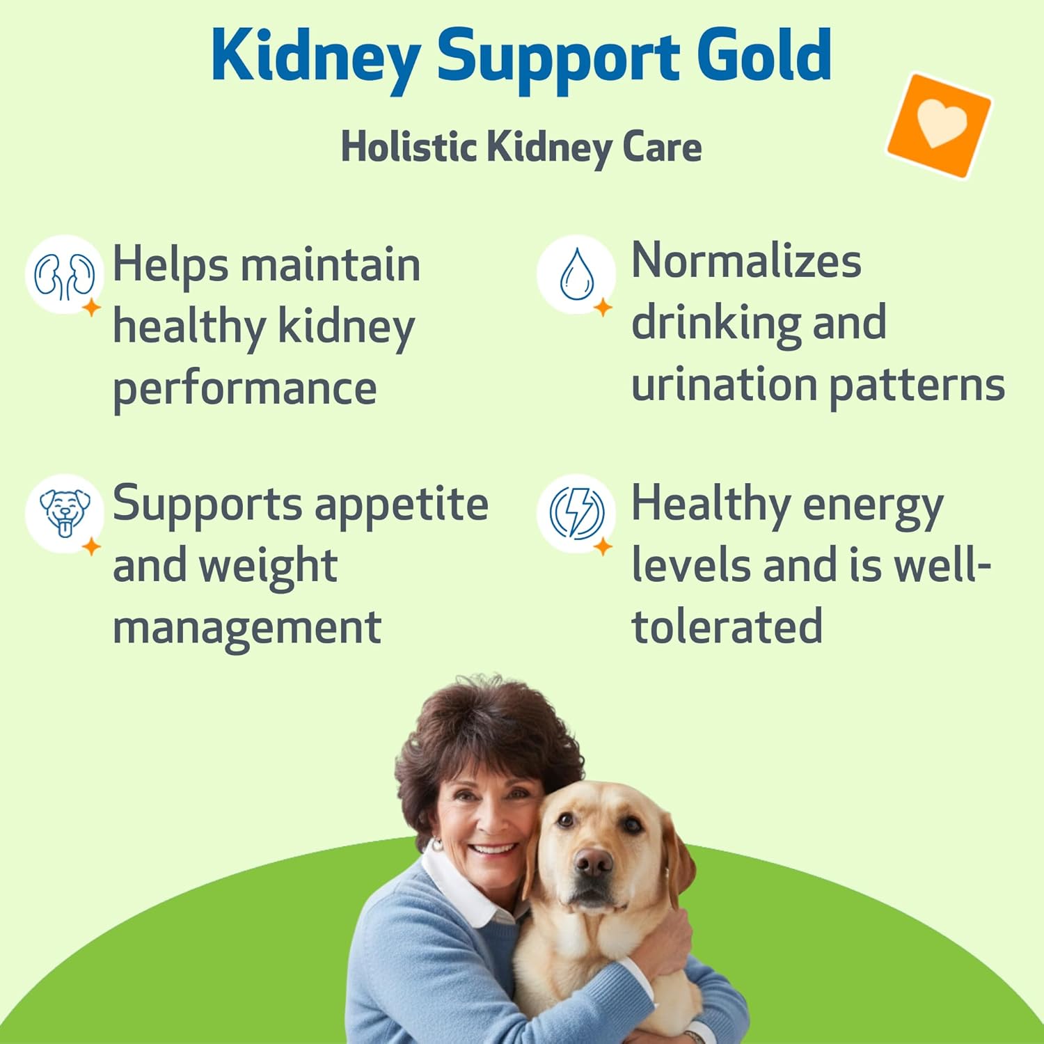 Pet Wellbeing Kidney Support Gold for Dogs supplement bottle with label, designed to promote healthy kidney function in dogs.