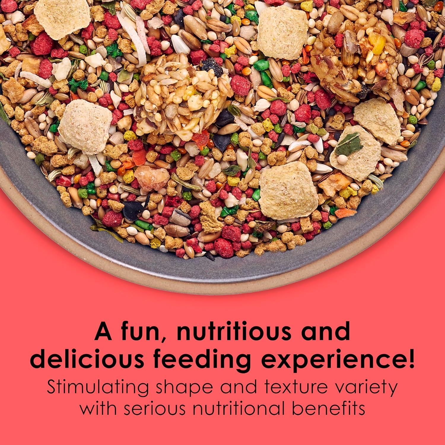 Kaytee Fiesta Parakeet Food mix with colorful seeds and grains, supporting healthy skin and feathers for pet parrots.