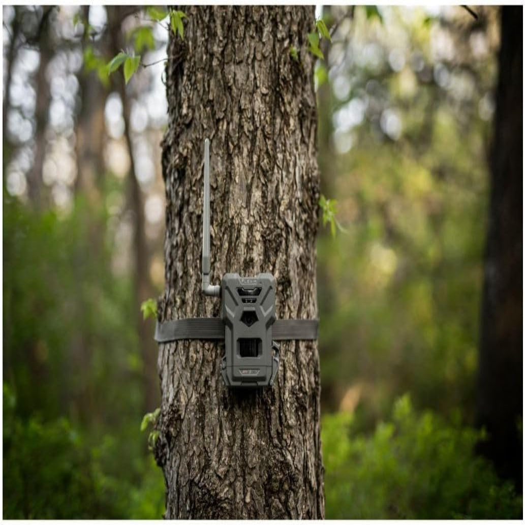 SPYPOINT Flex-M Twin Pack Cellular Trail Cameras - Best Hunting Accessories