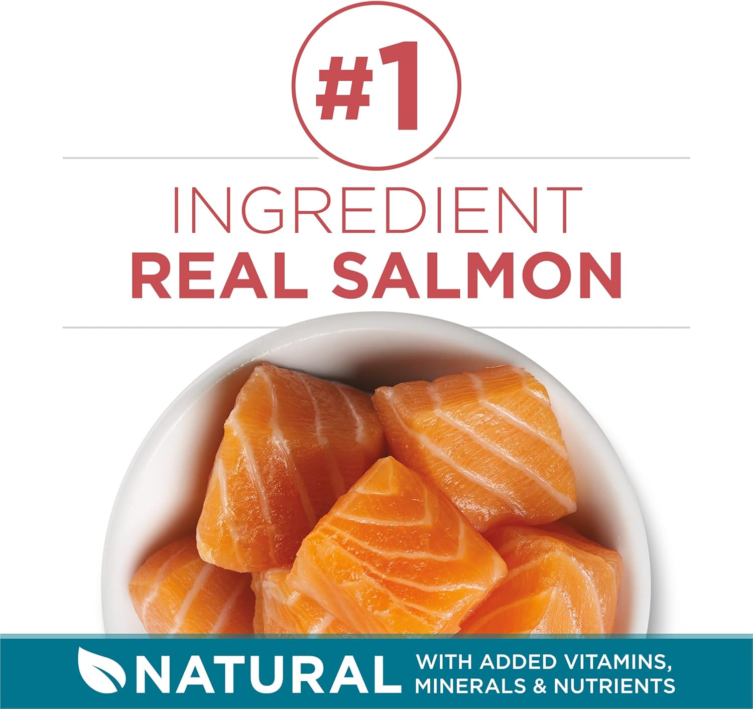 Purina ONE Natural Dry Cat Food Tender Selects Blend with real salmon in a 7 lb. bag, showcasing the cat food bag and ingredients.