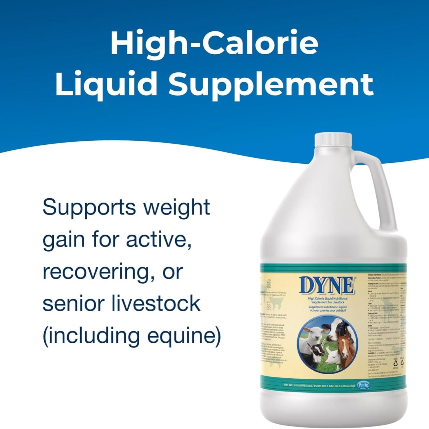 PetAg Dyne high calorie liquid supplement for livestock, showing a bottle of PetAg nutritional supplement for farm animals.