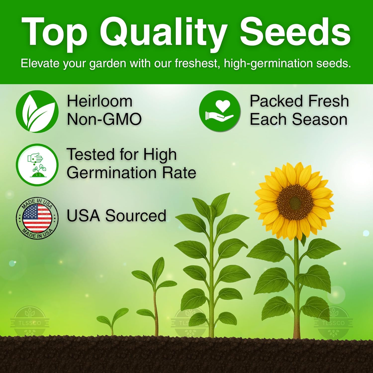 394+ Giant Mammoth Sunflower Seeds for Planting, Pack for 2026 USA Premium Non-GMO